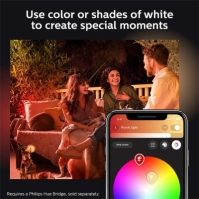 Philips Hue Philips Hue Lily Outdoor Smart Spotlight multicolor format and universal