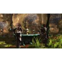 Plaion Kingdoms of Amalur: Re-Reckoning