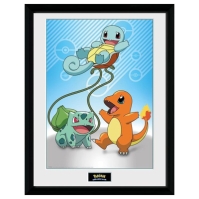 Pokemon Pokémon - Framed Print - Kanto Starters (30x40) multicolor