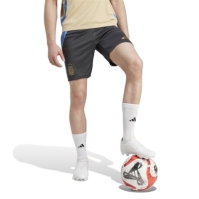 Sort antrenament adidas Afa fotbal Short pentru Barbati gri