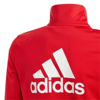 Treninguri adidas Essentials Big Logo rosu-negru IJ6305 pentru Copii