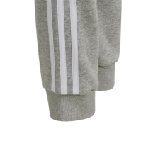 Treninguri adidas Tiro24 Swpnty Bottom pentru baieti medium gri