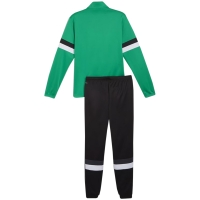 Treninguri Puma Team Rise verde-negru 658653 05 barbati