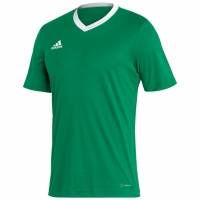 Tricou Adidas Entrada 22 Jersey verde HI2123 pentru Barbati