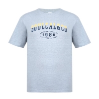 Tricouri Tricou cu imprimeu SoulCal - pentru Barbati gri