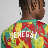 Tricou fotbal Puma Senegal 2025 pentru adulti verde galben