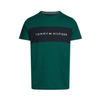 Tricou Tommy Hilfiger bumbac Panel verde albastru l6k