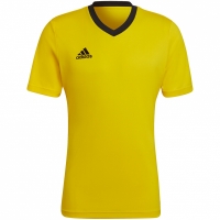 Tricouri Adidas T- Entrada 22 Jersey galben HI2122 pentru Barbati