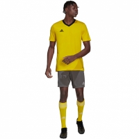 Tricouri Adidas T- Entrada 22 Jersey galben HI2122 pentru Barbati