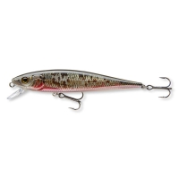 XX VOBLER CORM MINNOW N35 8,5CM 7G ROACH NEW CORMORAN