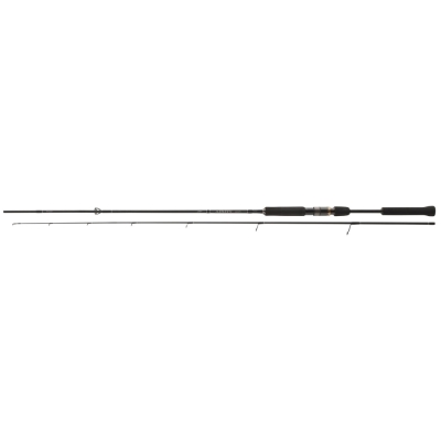 Lanseta 2BUC AIRITY SPIN 2,40M 14-42G DAIWA