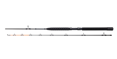 Lanseta SALMONIZER TROLLING M 2,10M 12-25LBS DAM