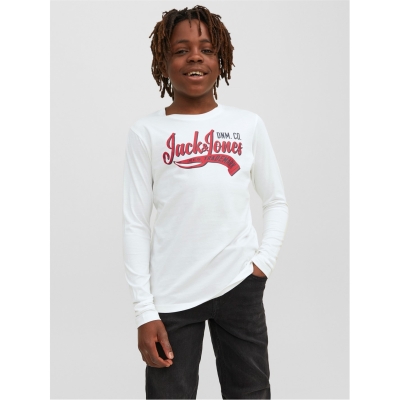 Bluza maneca lunga cu logo Jack and Jones pentru baietei gri dancer