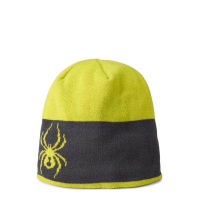 Caciula Beanie Spyder Shelby 41 verde