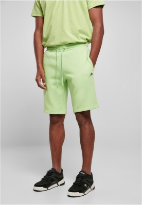 Pantaloni sport scurti Starter Essential verde