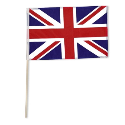 Team Anglia Hand Flag