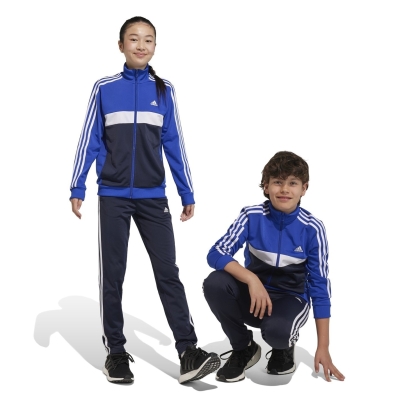 Treninguri adidas Essentials Tiberio albastru