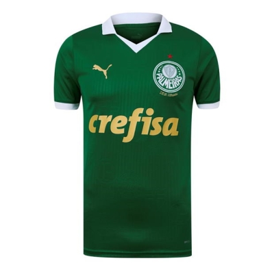 Puma Palmeiras Acasa Kit 2024 2025 pentru adulti verde