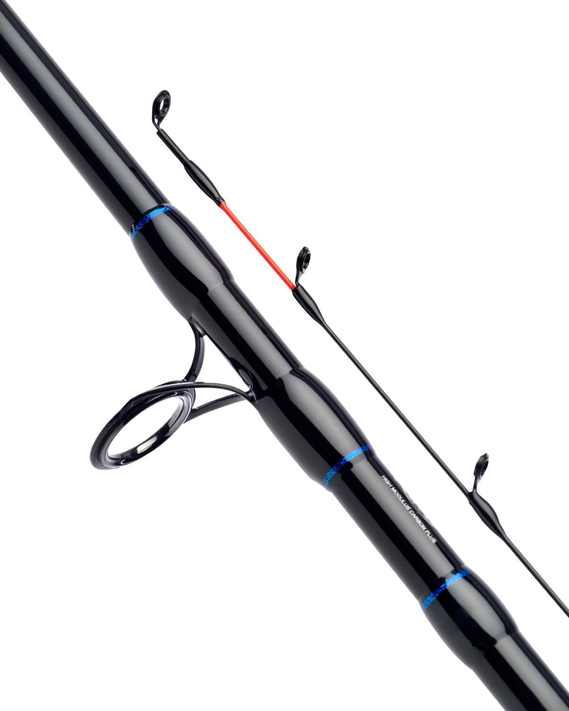 Lanseta 2+2BUC N ZON EXT FEEDER 3,96M 120G DAIWA