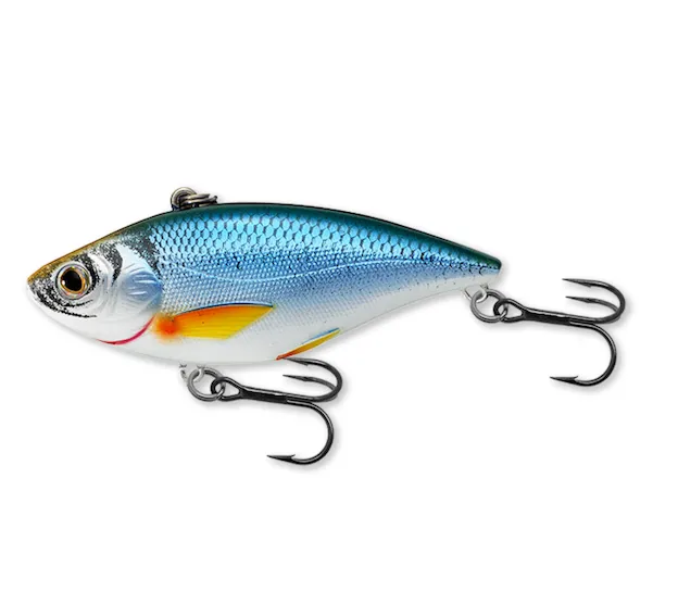 auriu SHINER RATTLEBAIT 6,0CM 7G GLOW albastru LIVE TARGET