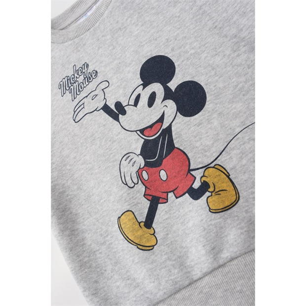 Crew Sweat pentru Bebelusi cu personaje