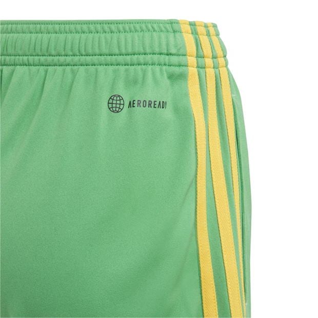 Pantaloni scurti adidas Jamaica Acasa 2023 Juniors verde