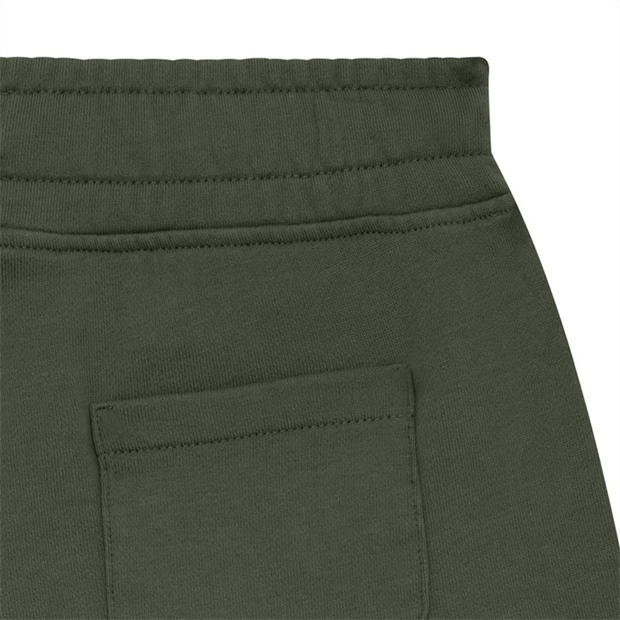 Pantaloni scurti CP COMPANY Lens pentru baieti grpe verde