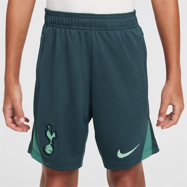 Pantaloni scurti Nike Tottenham Hotspur Third Strike 2024 2025 Juniors gri