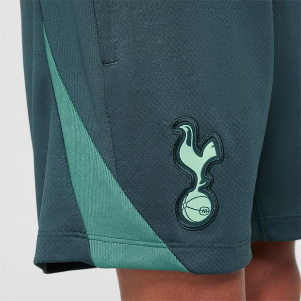 Pantaloni scurti Nike Tottenham Hotspur Third Strike 2024 2025 Juniors gri