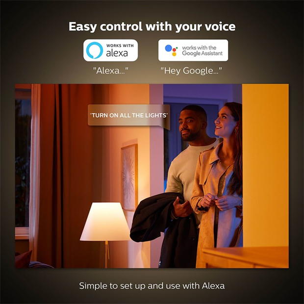 Philips Hue GO Portable light 12V