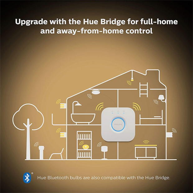 Philips Hue Philips Hue alb Ambiance 8W B22 2P multicolor format and universal