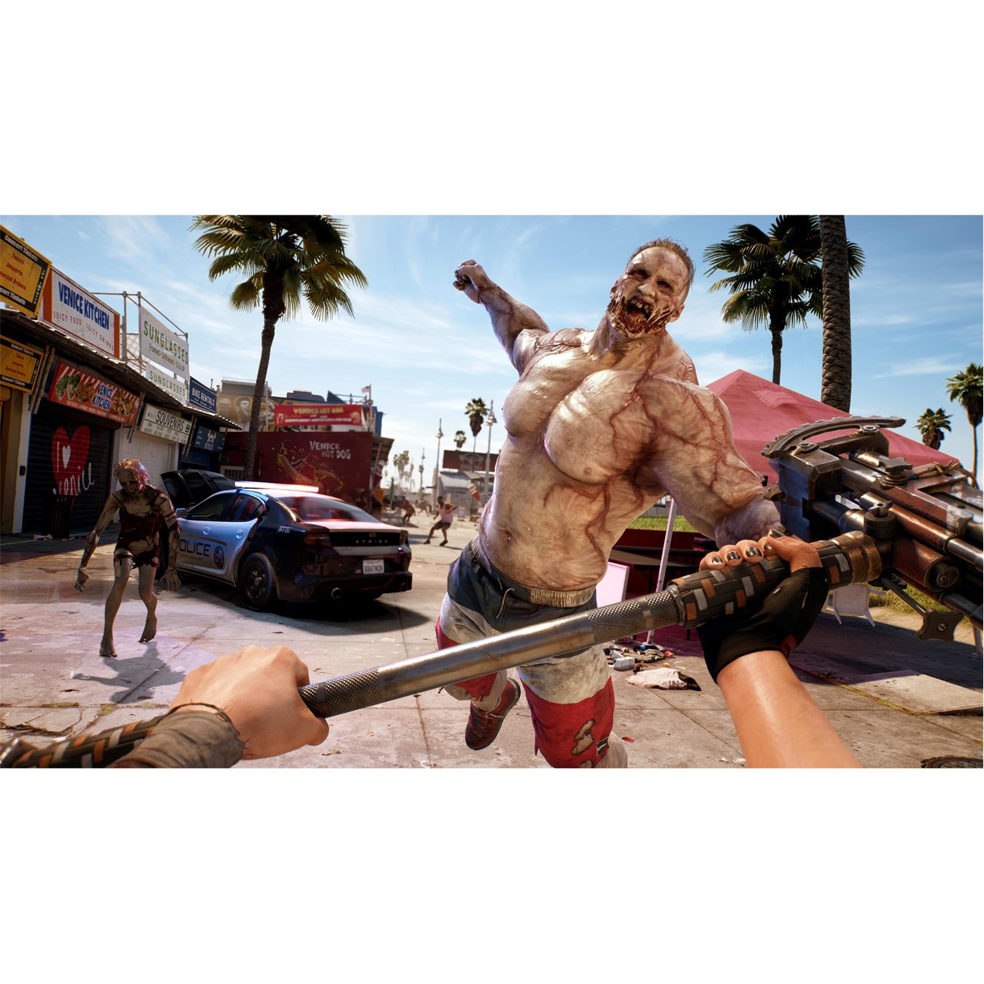 Plaion Dead Island 2: Carver The Shark Bundle