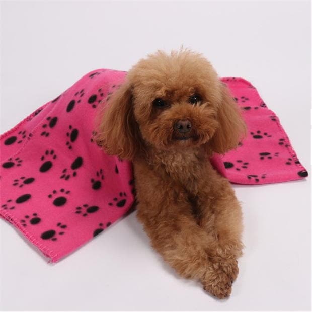 Waggy Tails Lrg Flc Blanket 52 roz negru