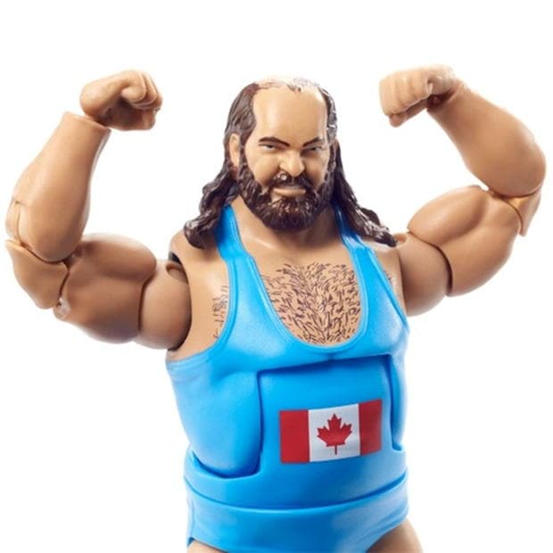 WWE WWE Royal Rumble Elite FigureE 2 multicolor